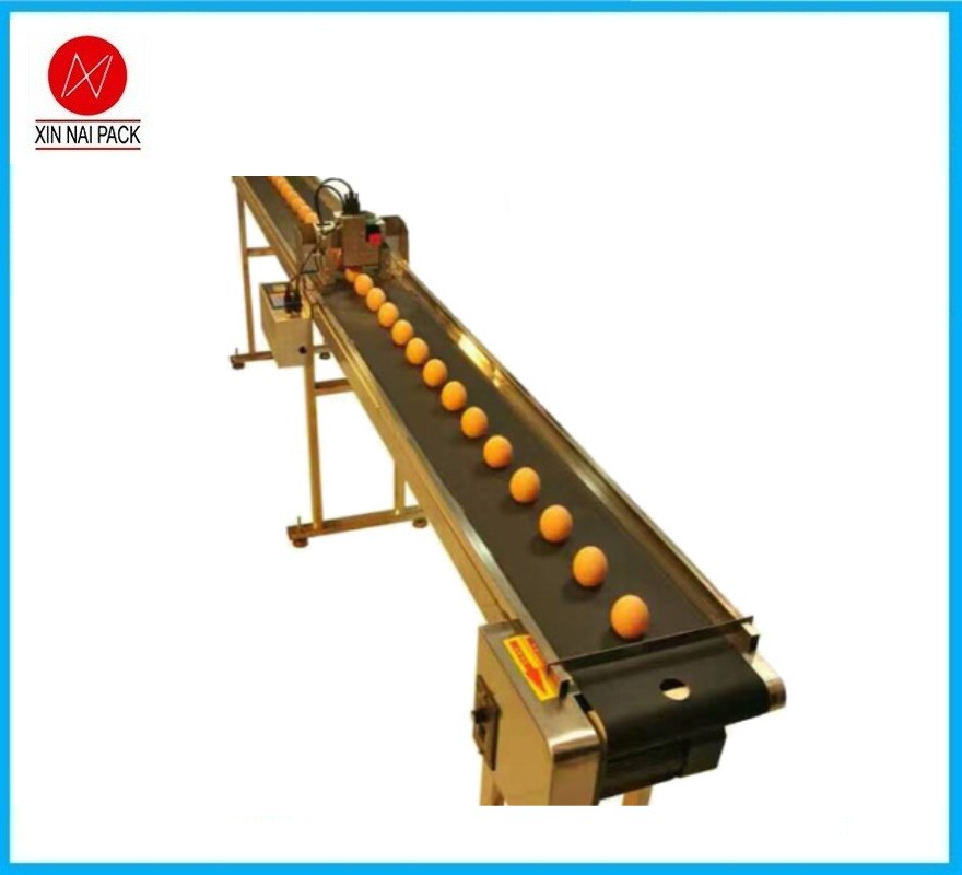 噴碼機配套生產(chǎn)線 全自動化智能傳送蛋品運輸機